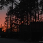 Colors of the sunset