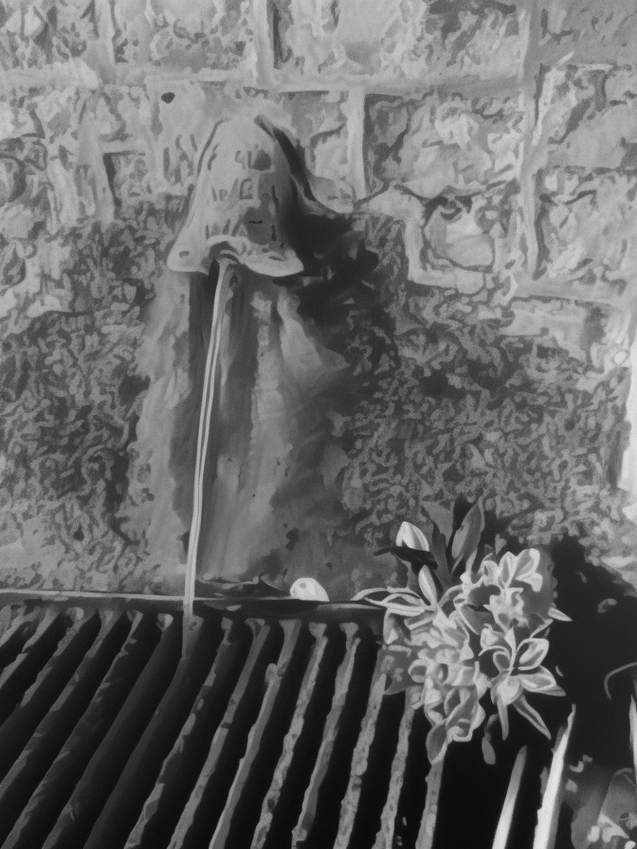 Chalice Well