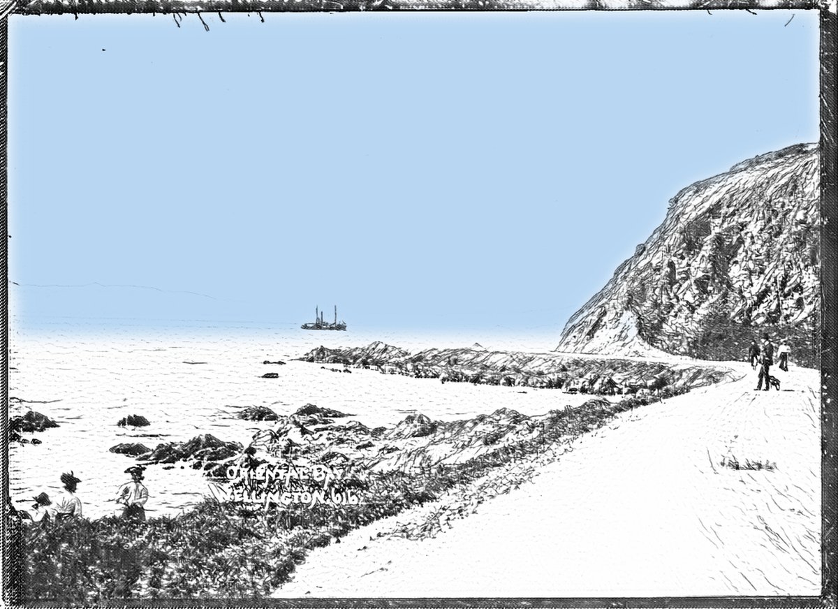 Oriental Bay
